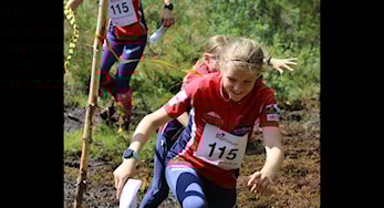 O-festivalen 2018